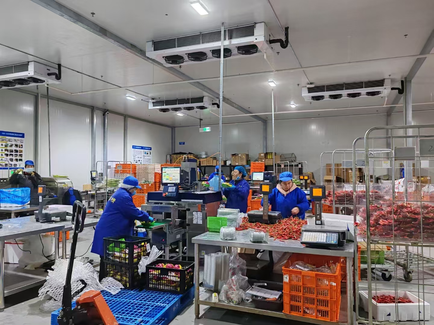 蔬菜保鮮冷庫的建設(shè)要求和特點(diǎn)有哪些？使用時(shí)注意這些