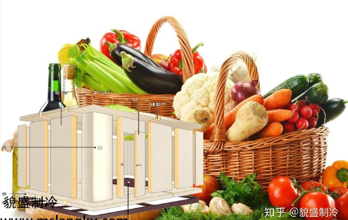 蔬菜保鮮冷庫的特點與優(yōu)勢有哪些？您了解這些方面嗎