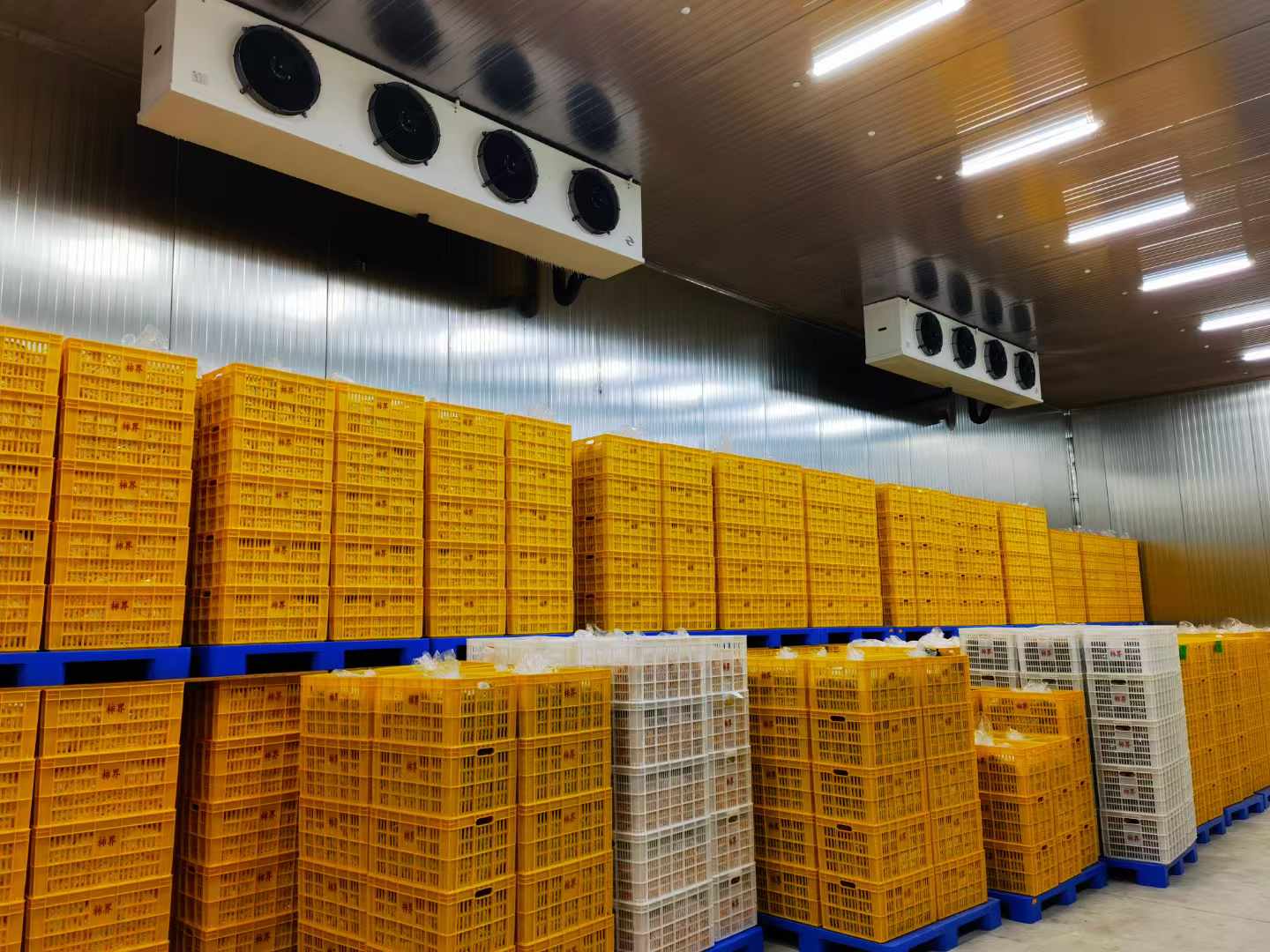 建蔬菜保鮮冷庫的要求和特點(diǎn)及使用注意事項(xiàng)都有哪些？